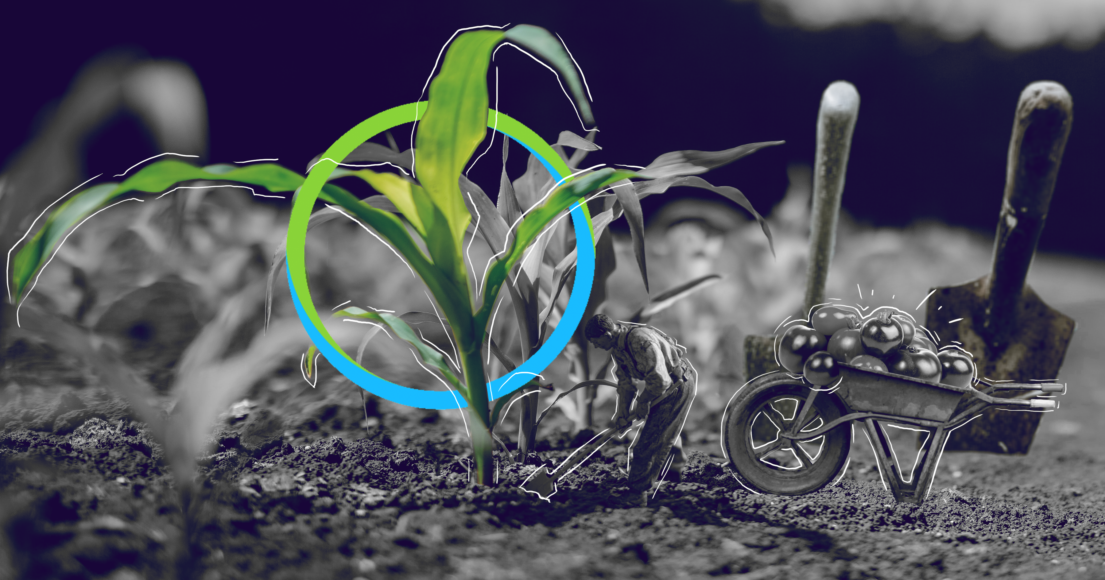 Bayer Crop Science is a leading innovator in crop science and pest control. They sought out Halo to streamline their research administration.